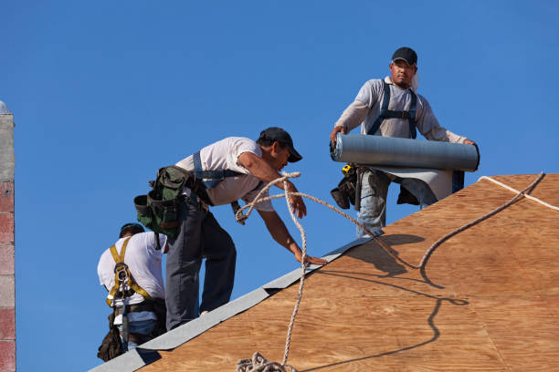 Best Roof Repair Services  in Portage Lakes, OH