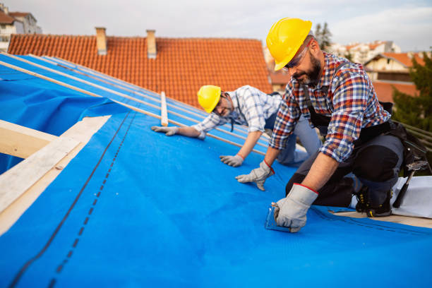 Best Roof Gutter Cleaning  in Portage Lakes, OH